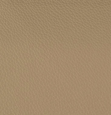Color sample Beige Elephant