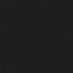Color sample Black