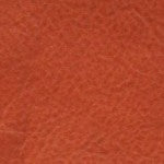 Color sample Nature Brown
