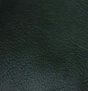Color sample Forest Green
